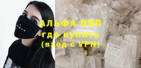 spice Алзамай